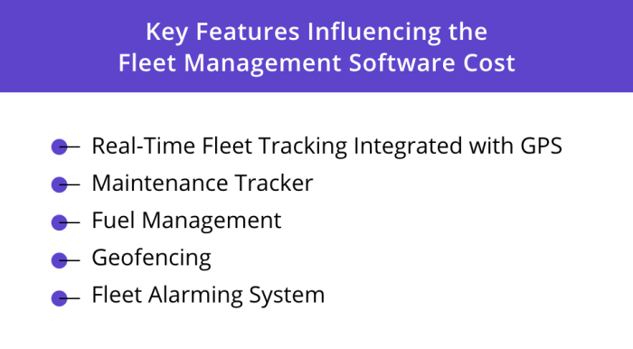 A Guide to Fleet Management Software Cost